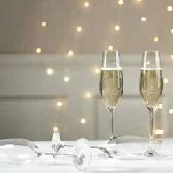 Scandi Living Copas De Champagne Y Cava<4 Copas de champán Karlevi, 21 cl Transparente