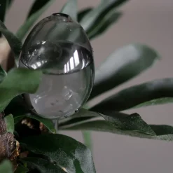 DBKD Regaderas|Regaderas<Autorriego Waterbubble, Clear Transparente