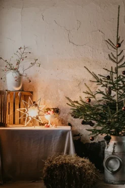 Globen Lighting Estrellas De Navidad<Estrella de Adviento Karin Ø45 cm, Natur Beige