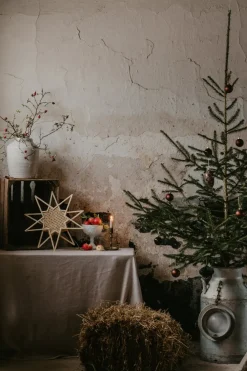 Globen Lighting Estrellas De Navidad<Estrella de Adviento Karin Ø45 cm, Natur Beige