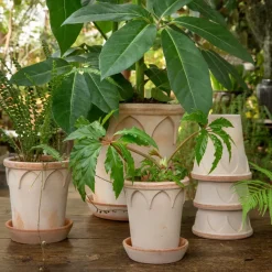 Bergs Potter Maceta Elizabeth Ø14 cm, Rose Rosa Clearance
