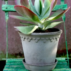 Bergs Potter Maceta Københavner 21 cm, Gris Outlet