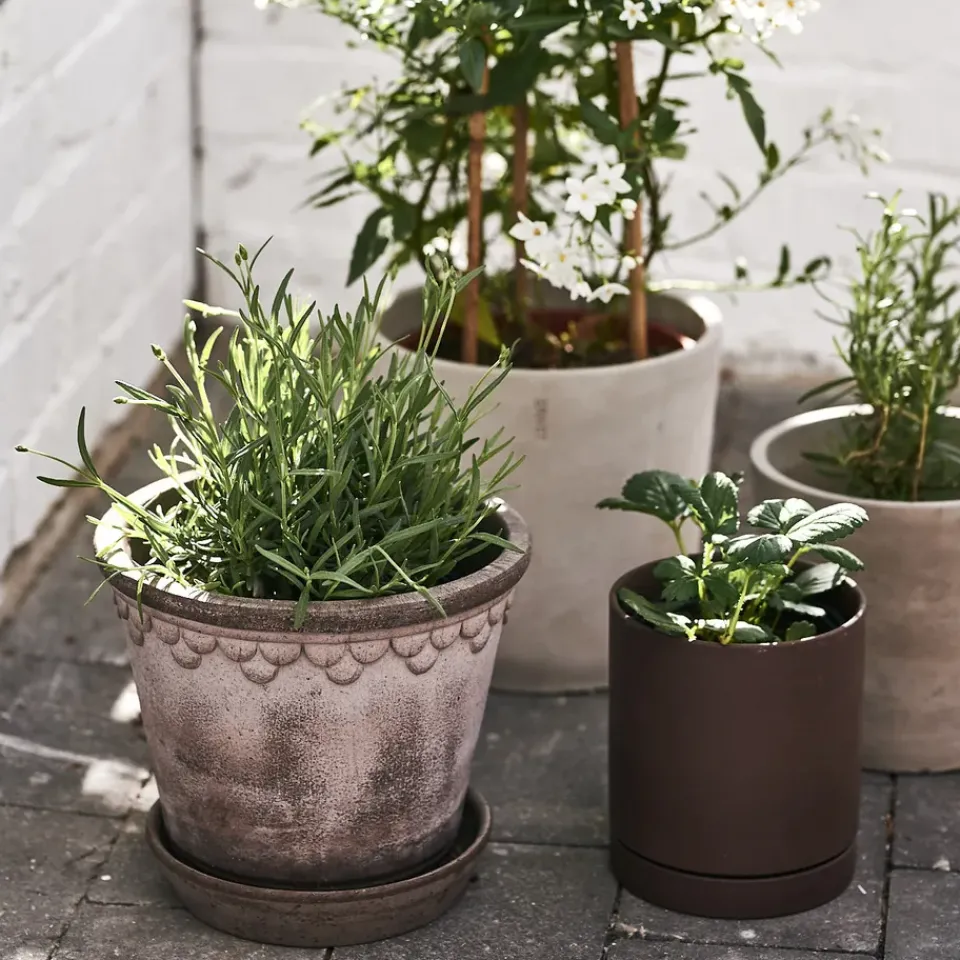 Bergs Potter Maceta Københavner 21 cm, Gris Outlet